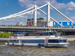 Крокус