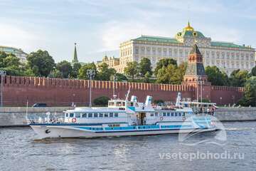 Чижик-1-фото-1