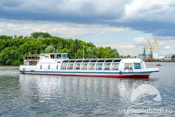 Гнездо глухаря-фото-1