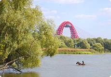 Маршрут по Серебряному бору